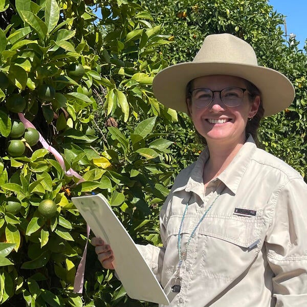 Principal Investigator holding clipboard and hand lens inspects a citrus tree