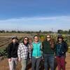 Five researchers in front of a field